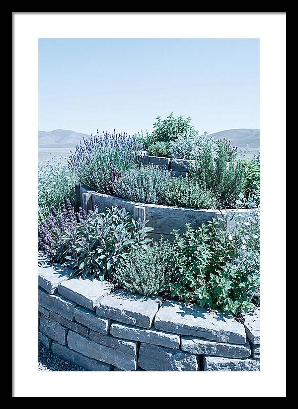 Herb Spiral Garden