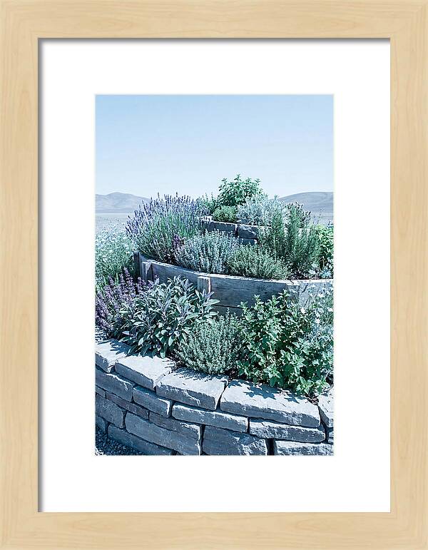 Herb Spiral Garden