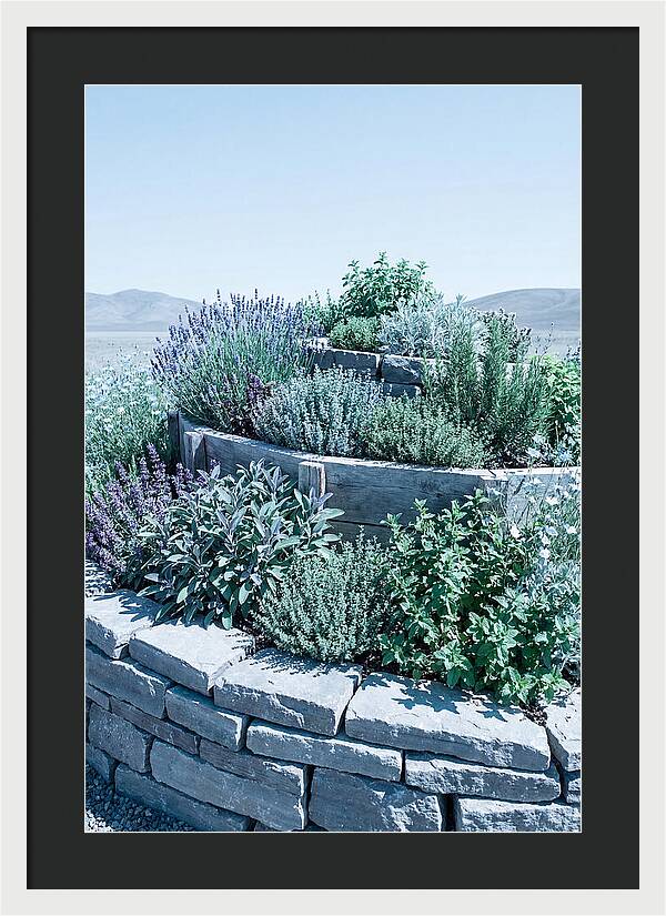 Herb Spiral Garden