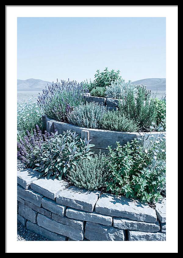 Herb Spiral Garden