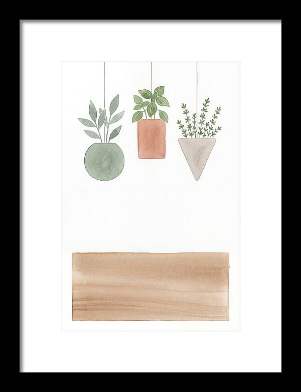 Herbs Dried And Displayed
