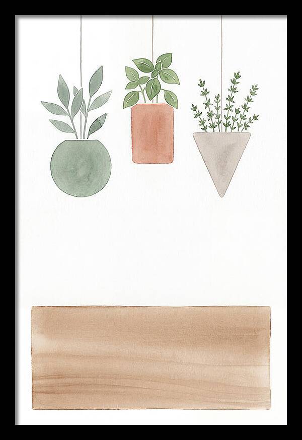 Herbs Dried And Displayed