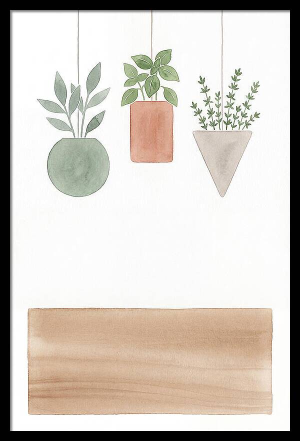 Herbs Dried And Displayed
