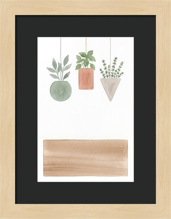 Herbs Dried And Displayed