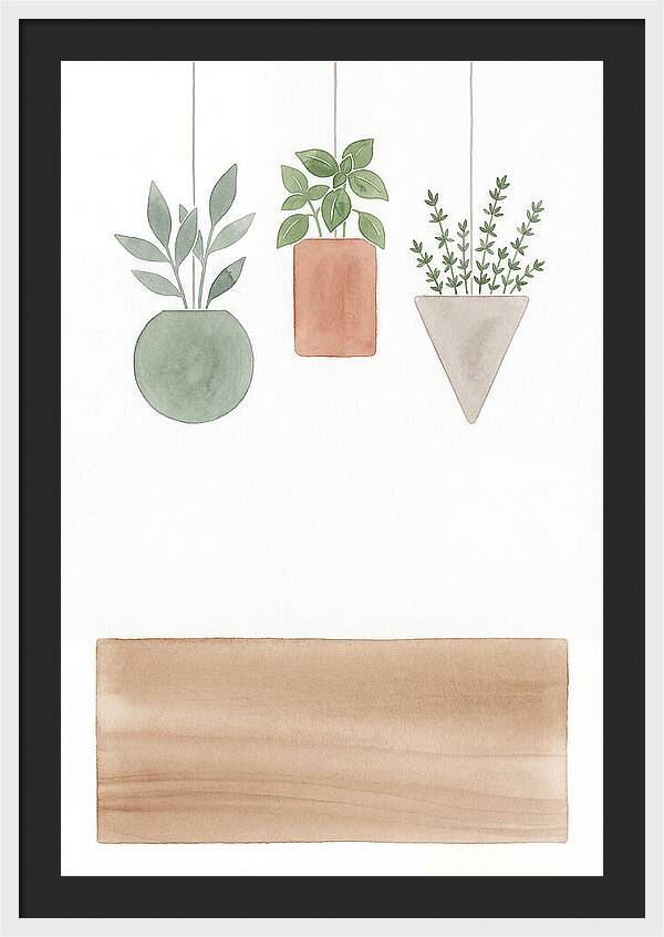 Herbs Dried And Displayed