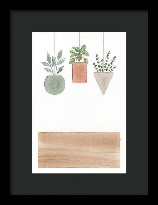 Herbs Dried And Displayed