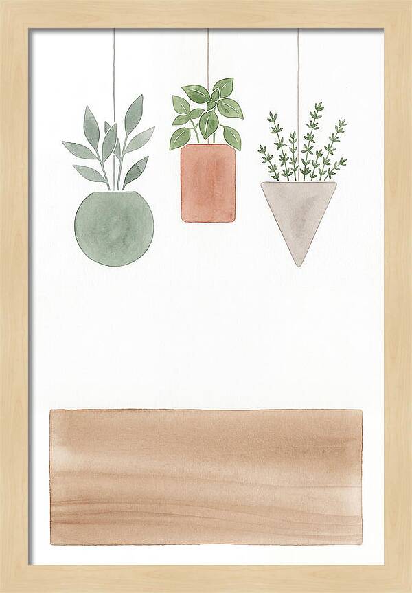 Herbs Dried And Displayed