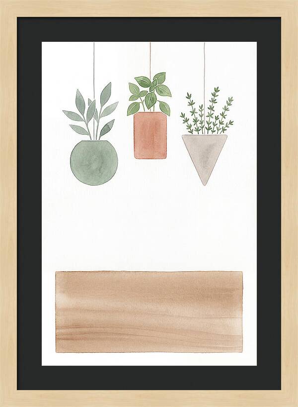 Herbs Dried And Displayed
