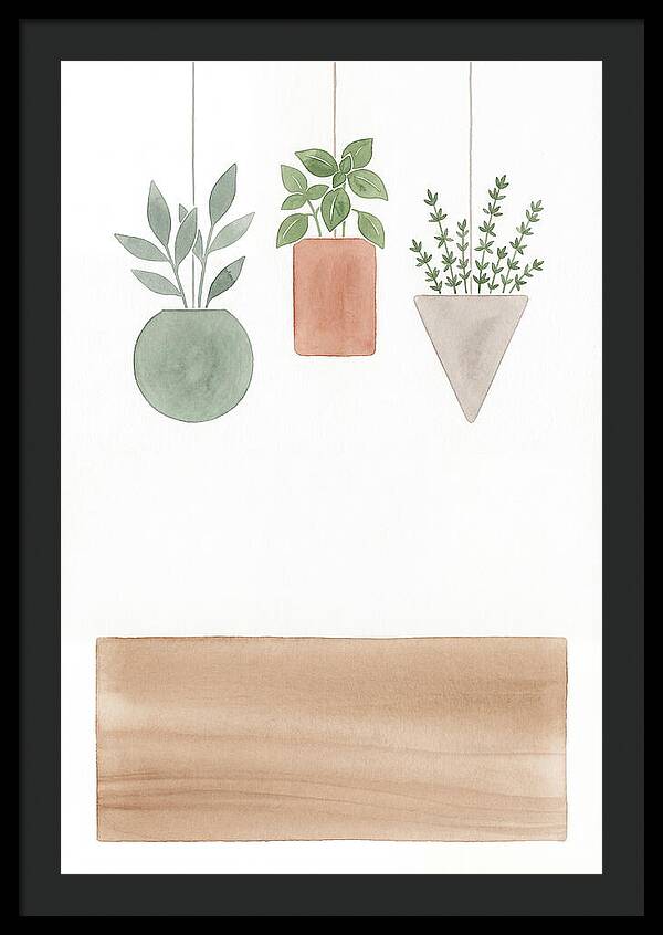 Herbs Dried And Displayed