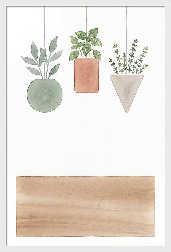 Herbs Dried And Displayed
