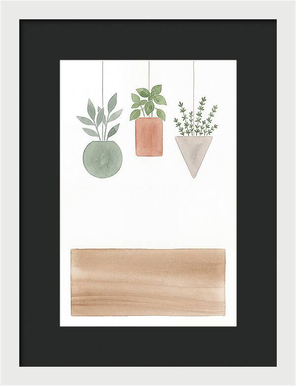 Herbs Dried And Displayed