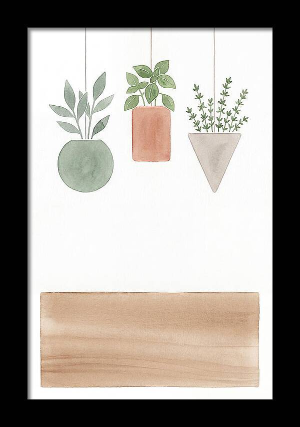 Herbs Dried And Displayed