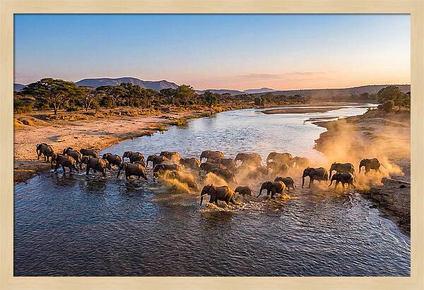 Herd Of Elephants Crossing River