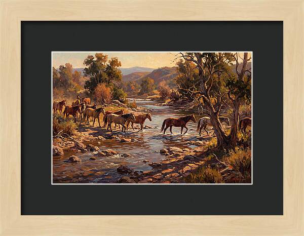 Herd Of Horses Crossing A River
