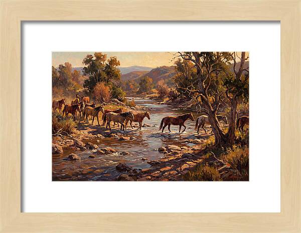 Herd Of Horses Crossing A River
