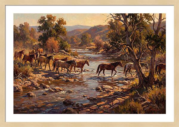Herd Of Horses Crossing A River