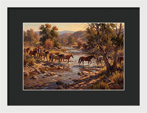 Herd Of Horses Crossing A River