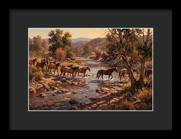 Herd Of Horses Crossing A River