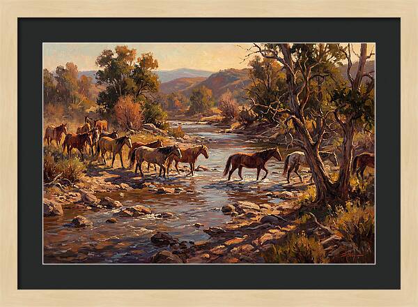 Herd Of Horses Crossing A River