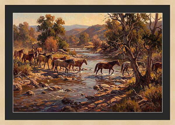 Herd Of Horses Crossing A River