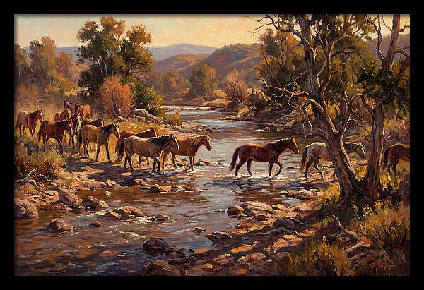Herd Of Horses Crossing A River