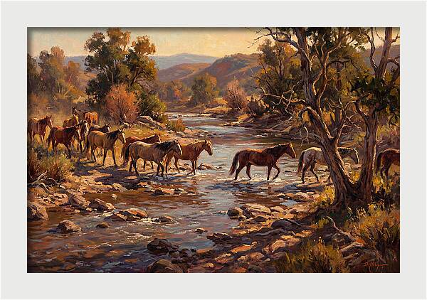 Herd Of Horses Crossing A River