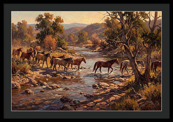 Herd Of Horses Crossing A River