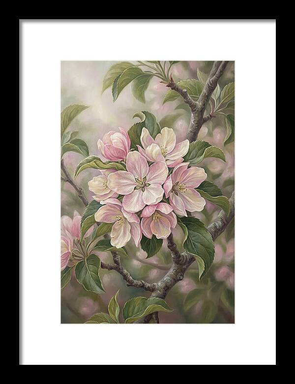 Heritage Apple Blossom