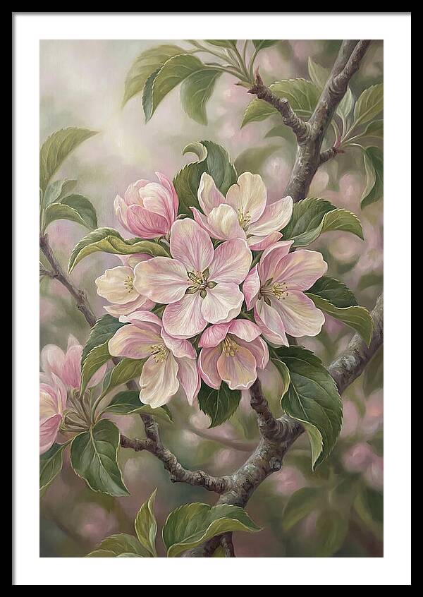 Heritage Apple Blossom