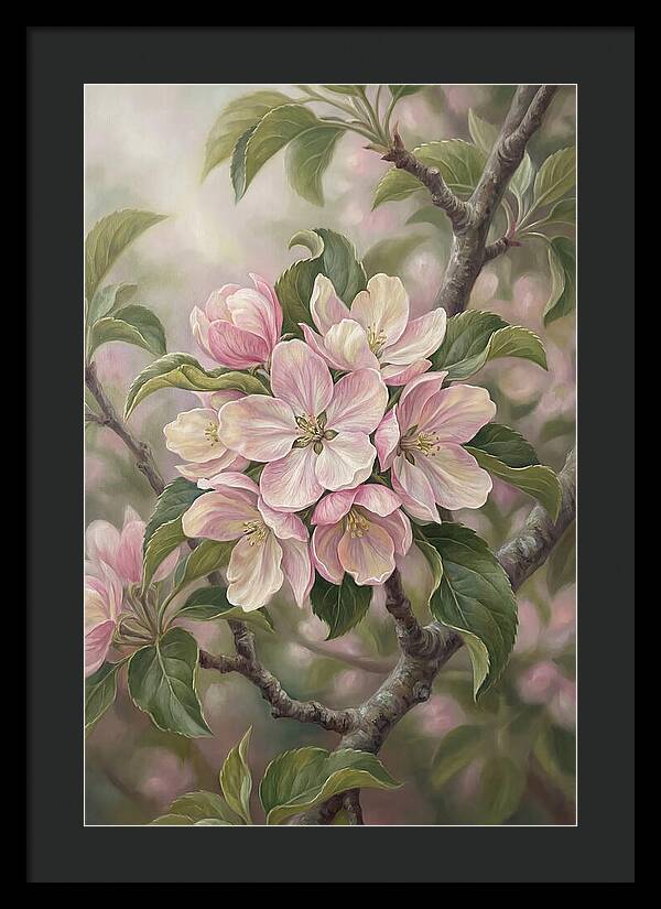 Heritage Apple Blossom