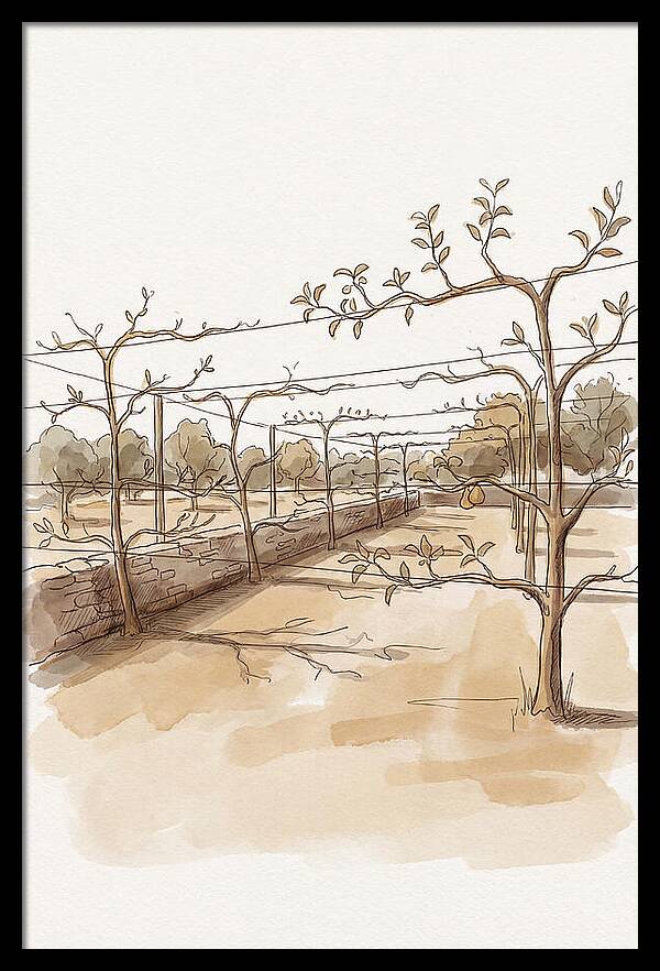 Heritage Fruit Garden Serenity