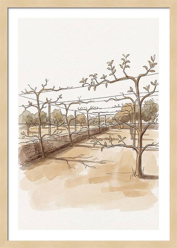 Heritage Fruit Garden Serenity