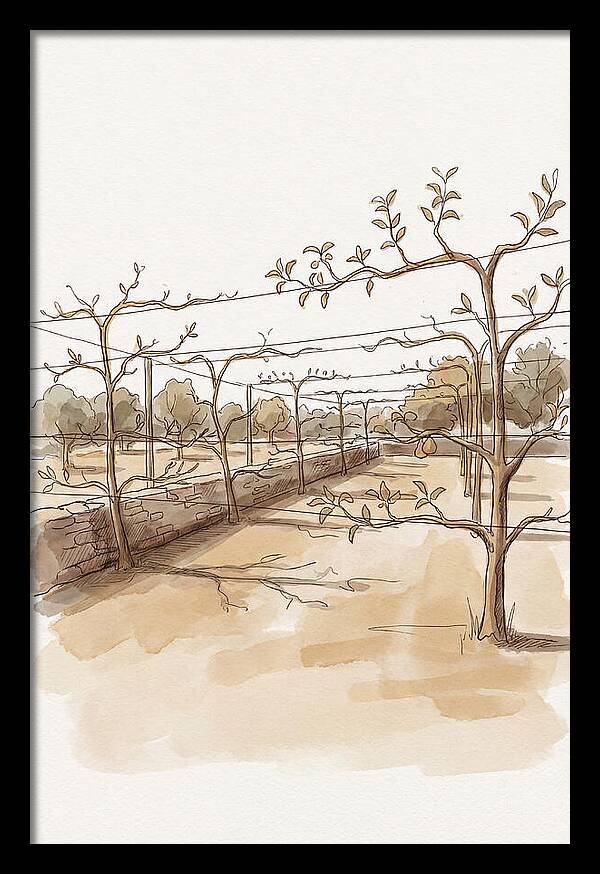 Heritage Fruit Garden Serenity