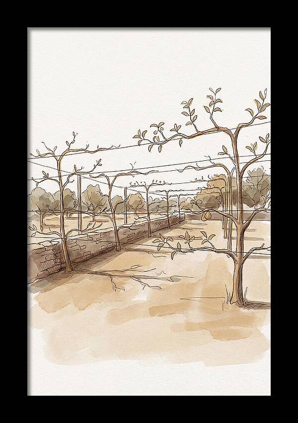 Heritage Fruit Garden Serenity