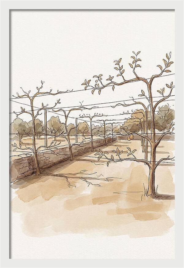 Heritage Fruit Garden Serenity