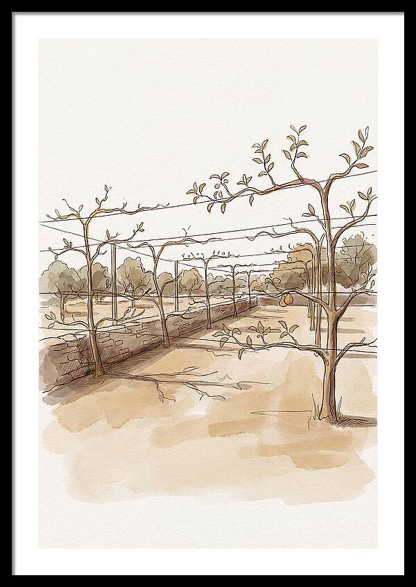 Heritage Fruit Garden Serenity