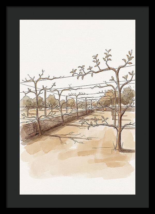 Heritage Fruit Garden Serenity