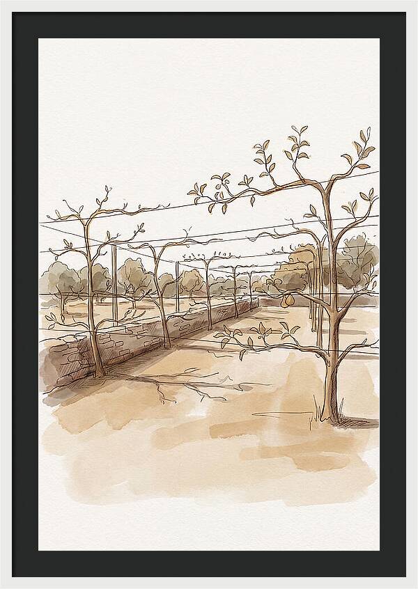 Heritage Fruit Garden Serenity