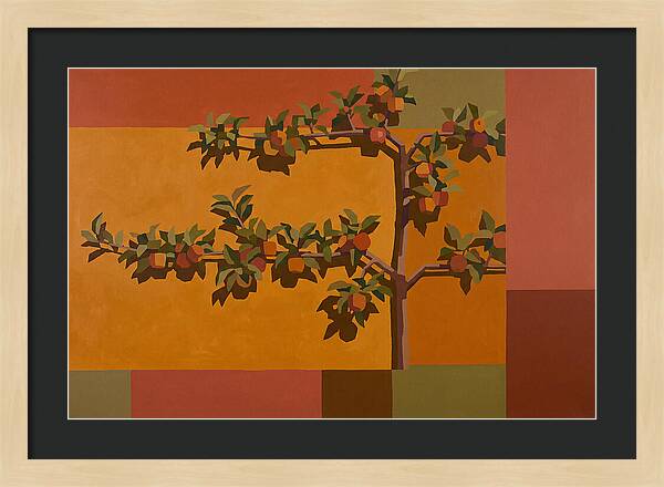 Heritage Garden Apple Espalier