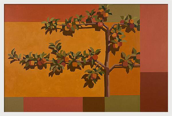 Heritage Garden Apple Espalier