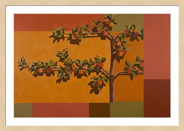 Heritage Garden Apple Espalier