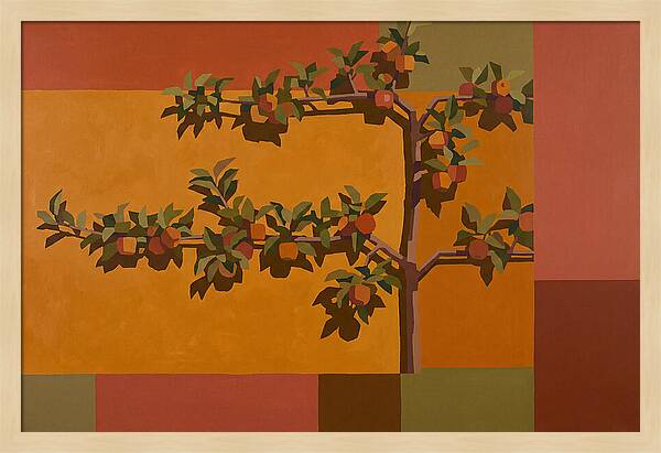 Heritage Garden Apple Espalier