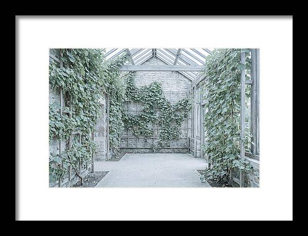 Heritage Grape House Serenity
