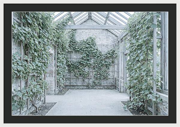 Heritage Grape House Serenity