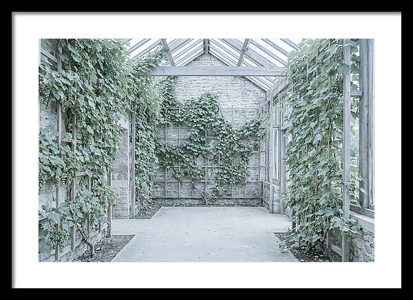 Heritage Grape House Serenity