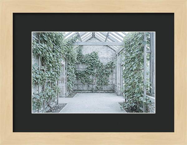 Heritage Grape House Serenity
