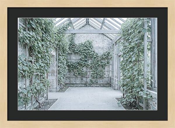 Heritage Grape House Serenity