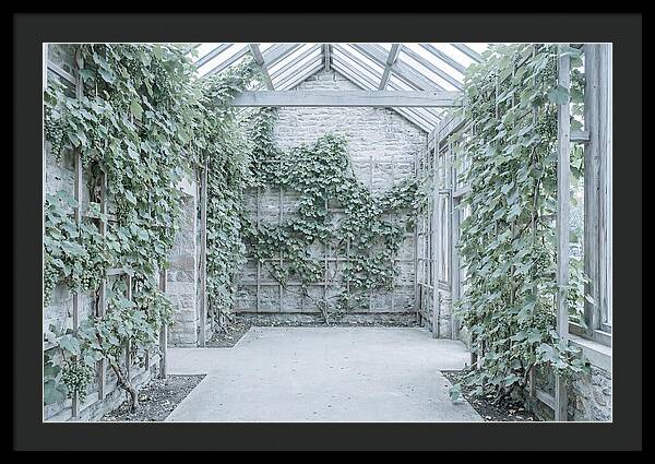Heritage Grape House Serenity