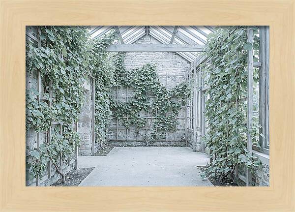 Heritage Grape House Serenity