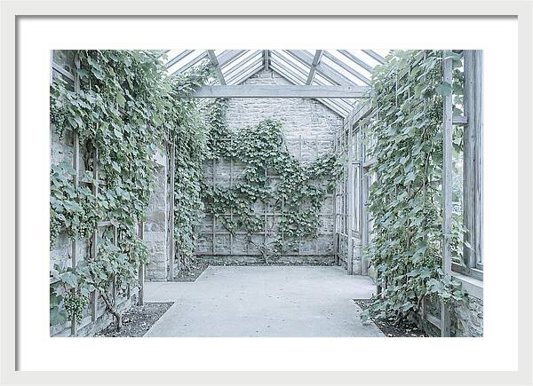 Heritage Grape House Serenity